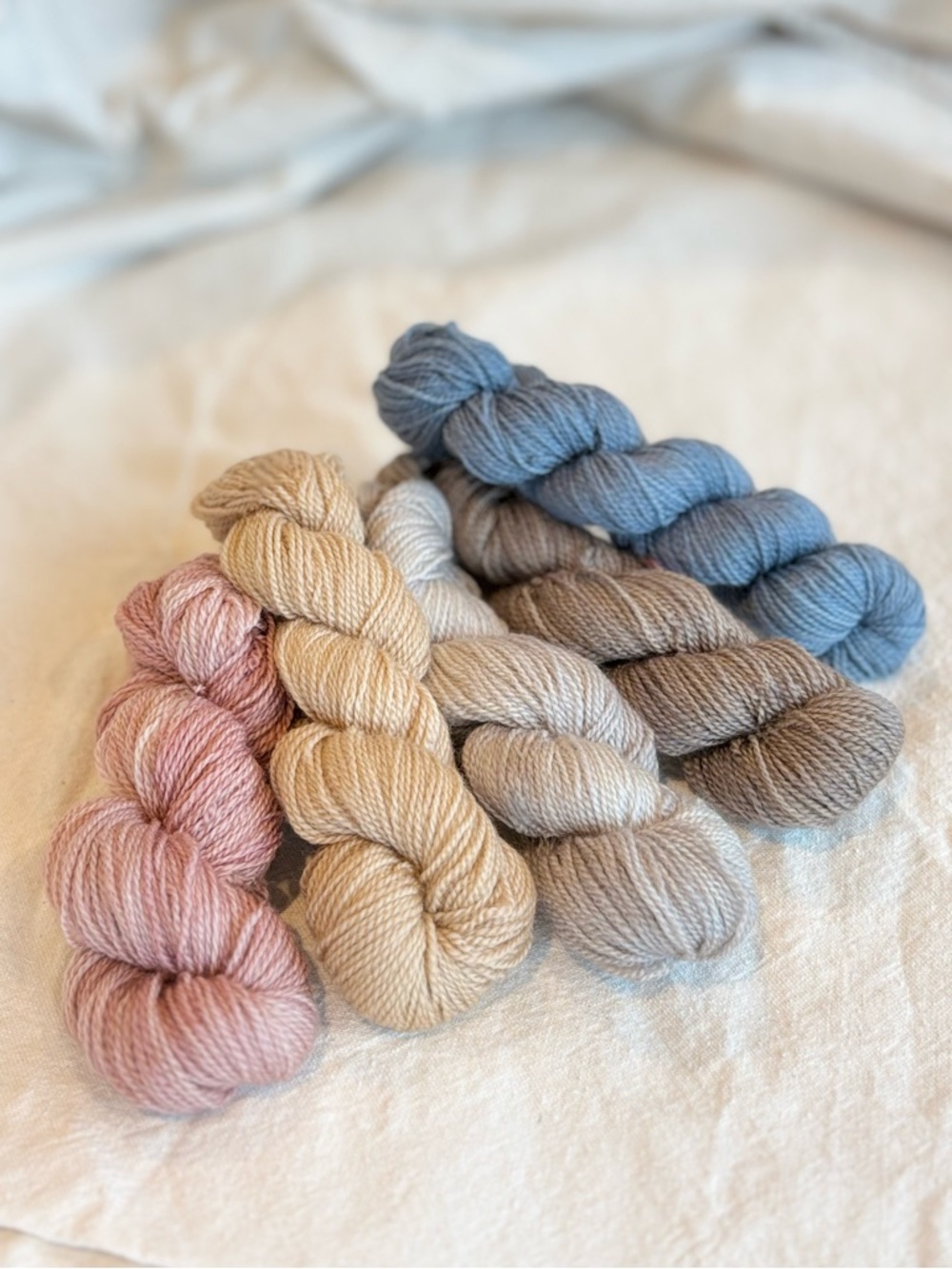 wool mini skein set muted palette indie hand dyed wool yarn fingering 140g nwot